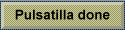 Pulsatilla done